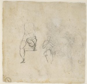 Figure Studies, c.1511 by Michelangelo Buonarroti